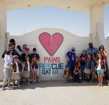 PAWS Rescue Volunteering