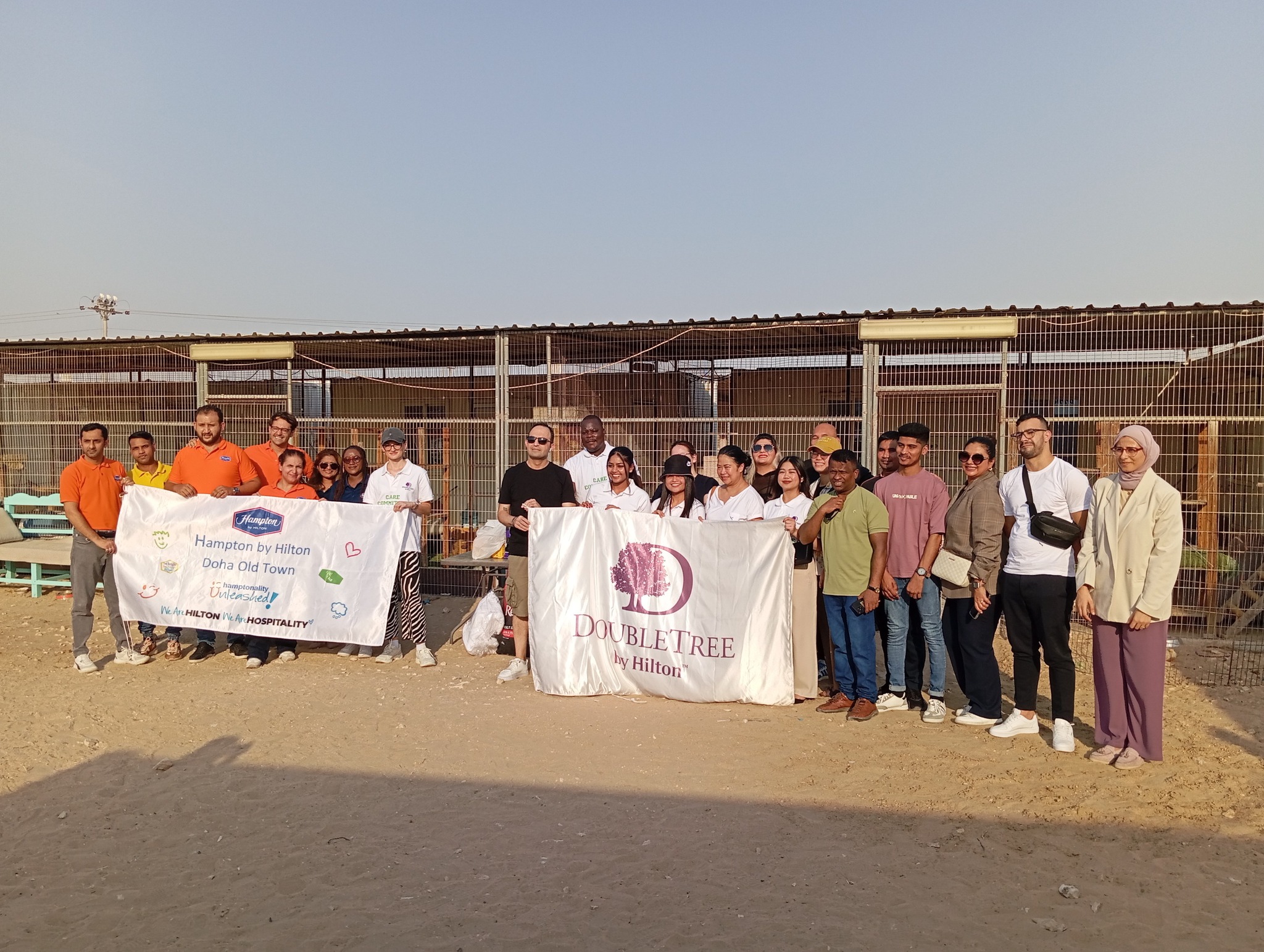 QAWS Volunteer